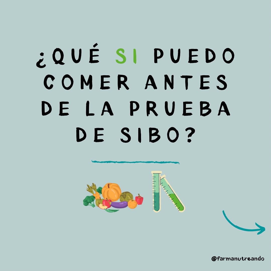 ¿Qué SÍ puedo comer antes de la prueba de SIBO? 🦠