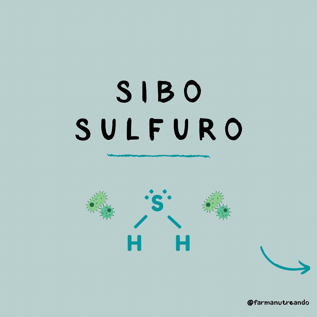 SIBO SULFURO 🦠