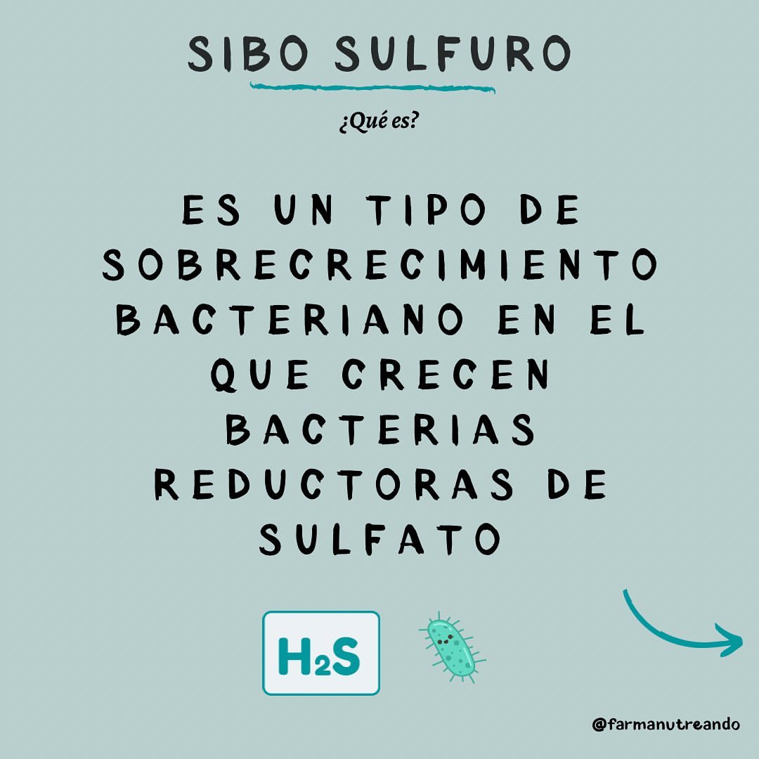 SIBO SULFURO 🦠