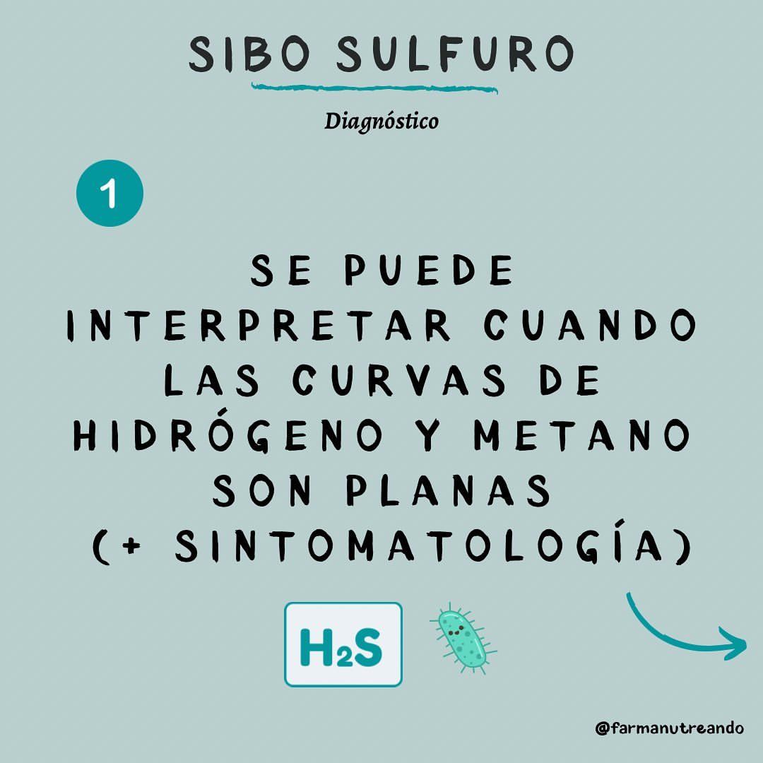 SIBO SULFURO 🦠