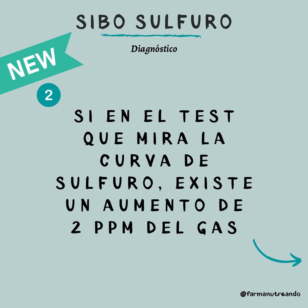 SIBO SULFURO 🦠