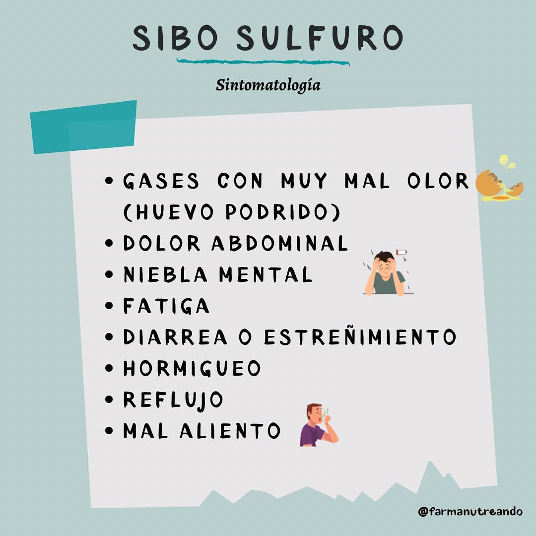 SIBO SULFURO 🦠