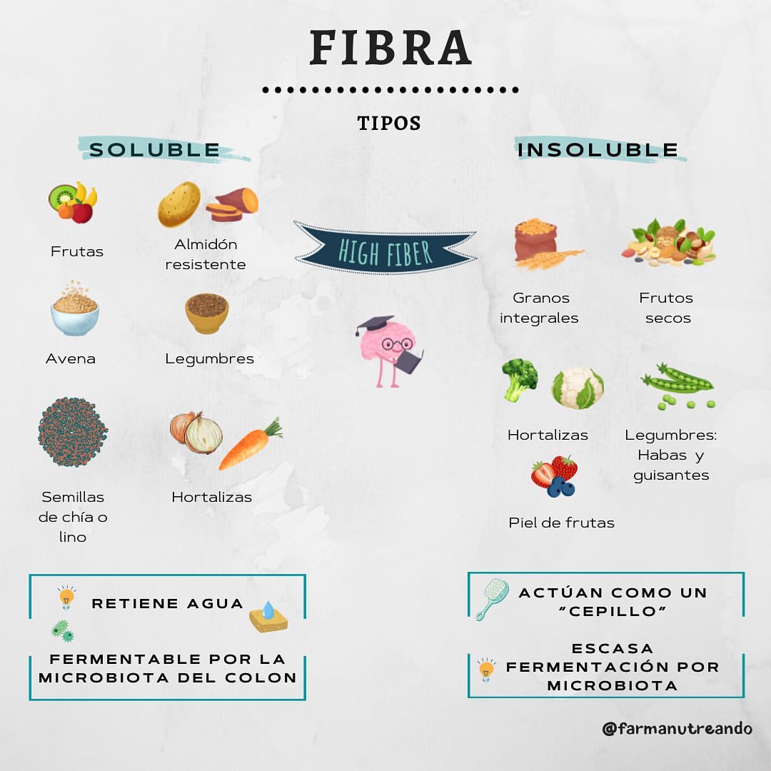 TIPOS DE FIBRA 🌾🍎