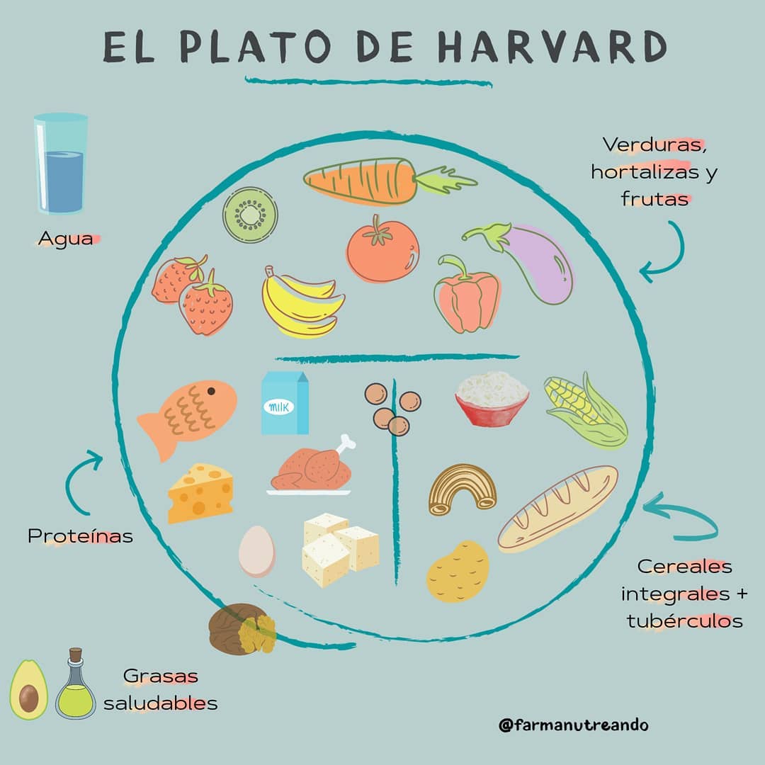 El plato saludable de Harvard vs. Pirámide Alimentaria