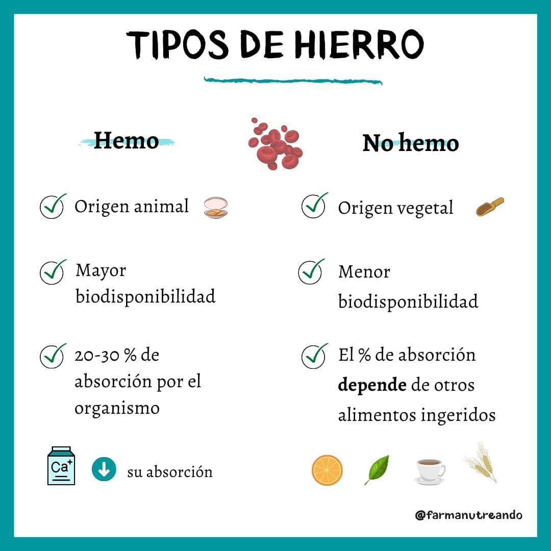 TIPOS DE HIERRO ⁉️