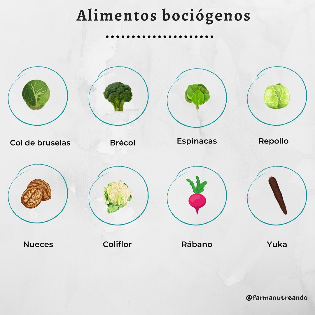 🥦ALIMENTOS BOCIÓGENOS ⤵️