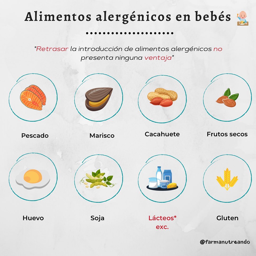 ALIMENTOS ALERGÉNICOS en bebés 👶🏽〽️