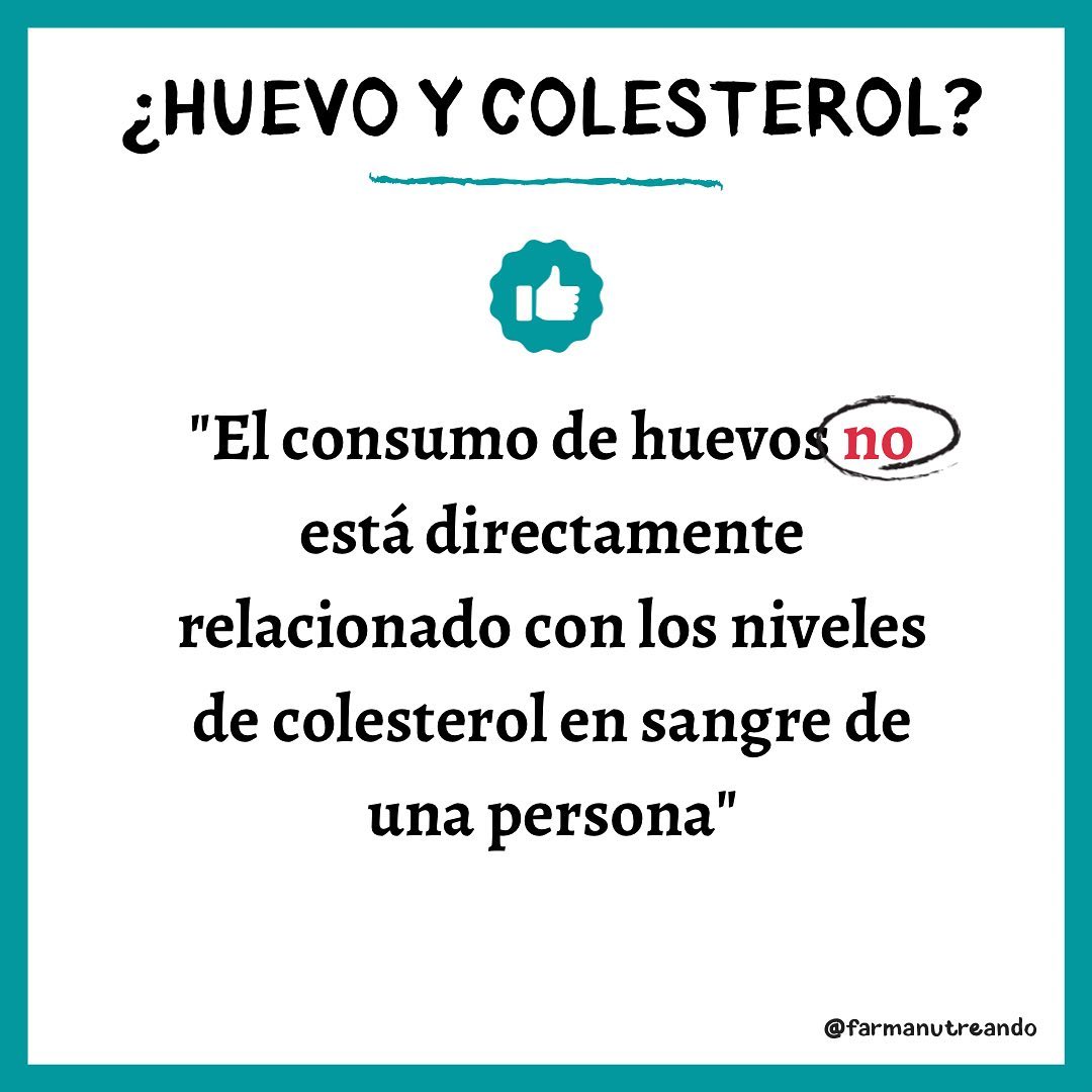 🍳¿HUEVOS Y COLESTEROL? 🍳🤨