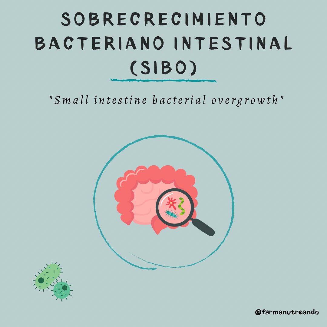 SIBO 🦠🧫