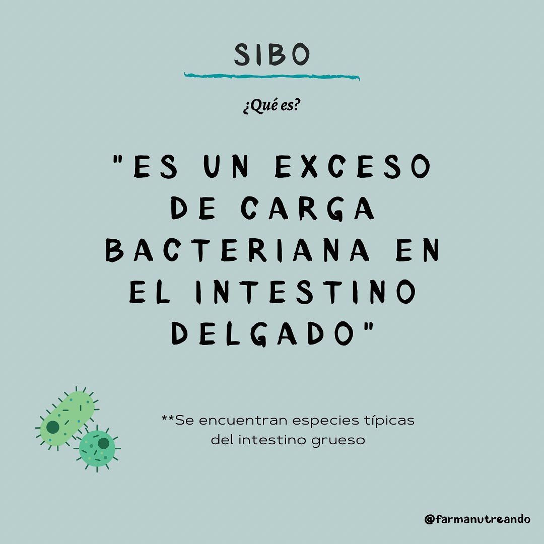 SIBO 🦠🧫