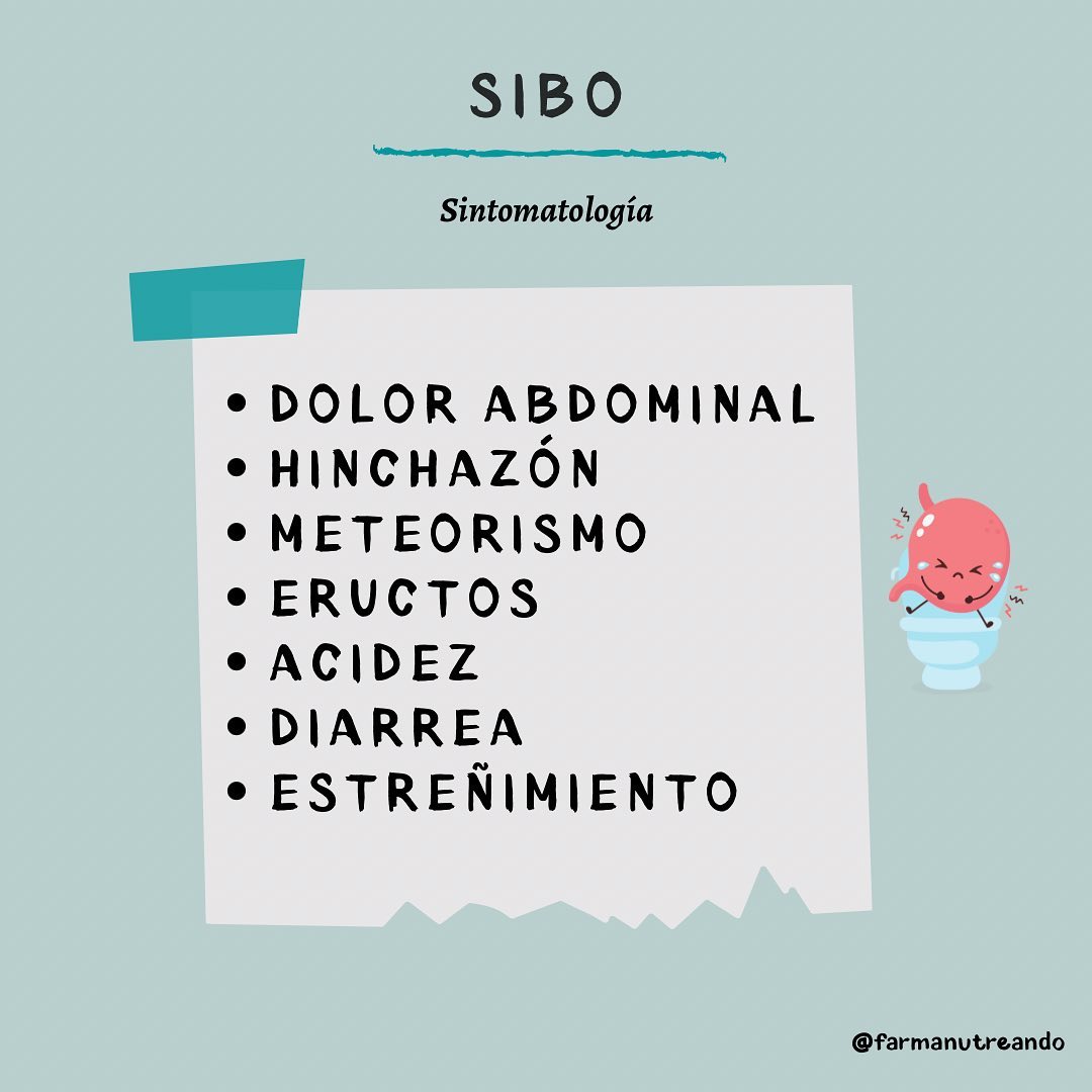 SIBO 🦠🧫