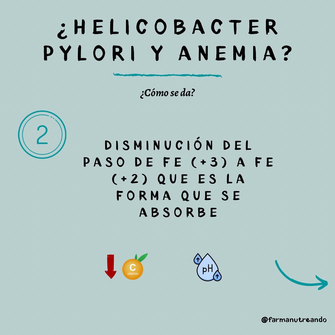 Helicobacter pylori y anemia ferropénica?🧐🩸