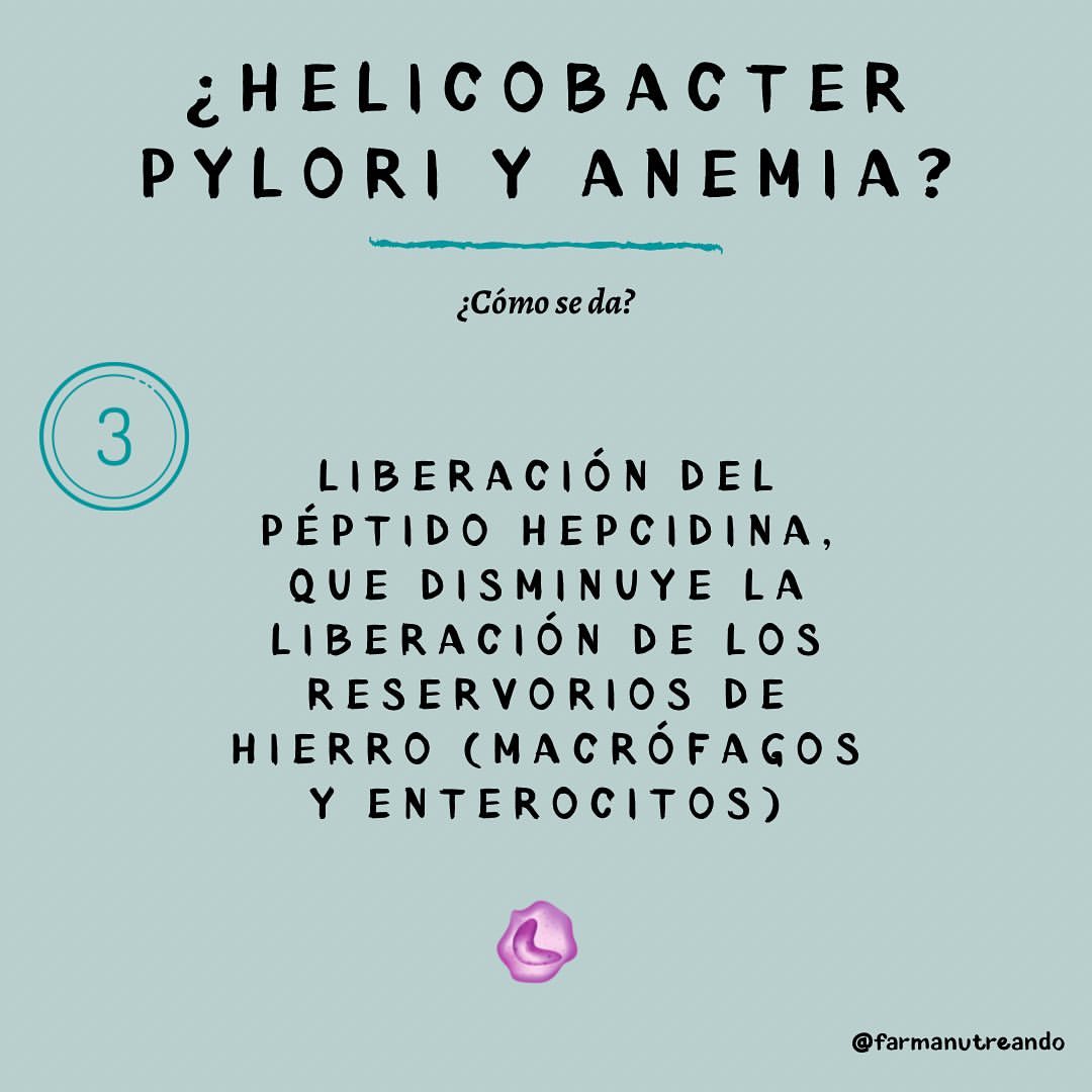 Helicobacter pylori y anemia ferropénica?🧐🩸