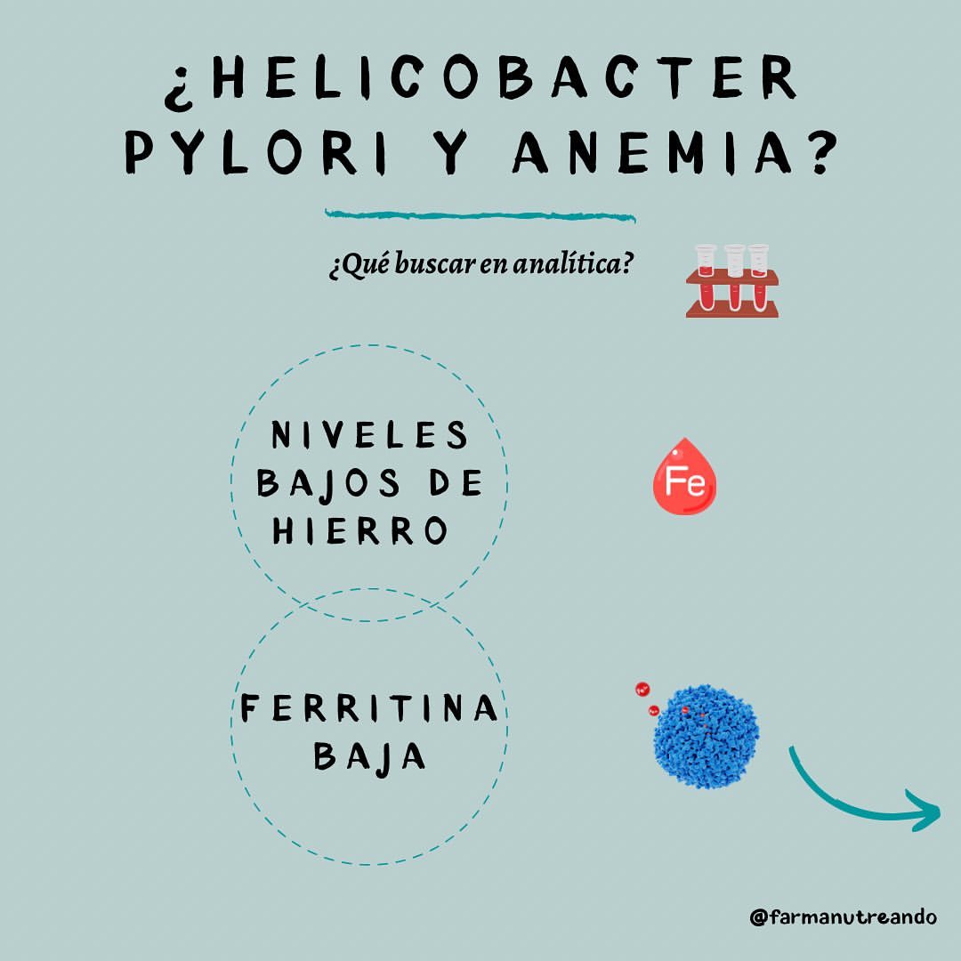 Helicobacter pylori y anemia ferropénica?🧐🩸