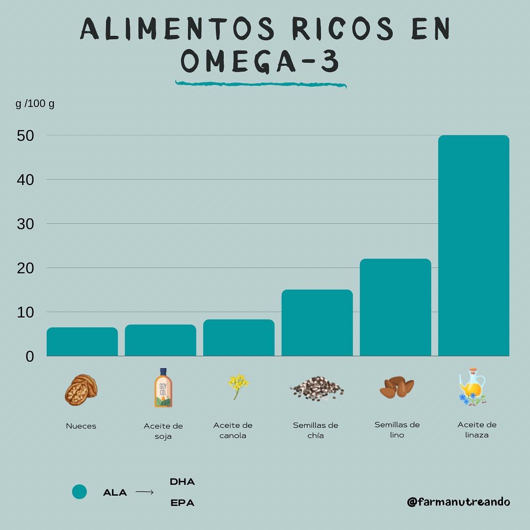 ALIMENTOS RICOS EN OMEGA 3 🌱