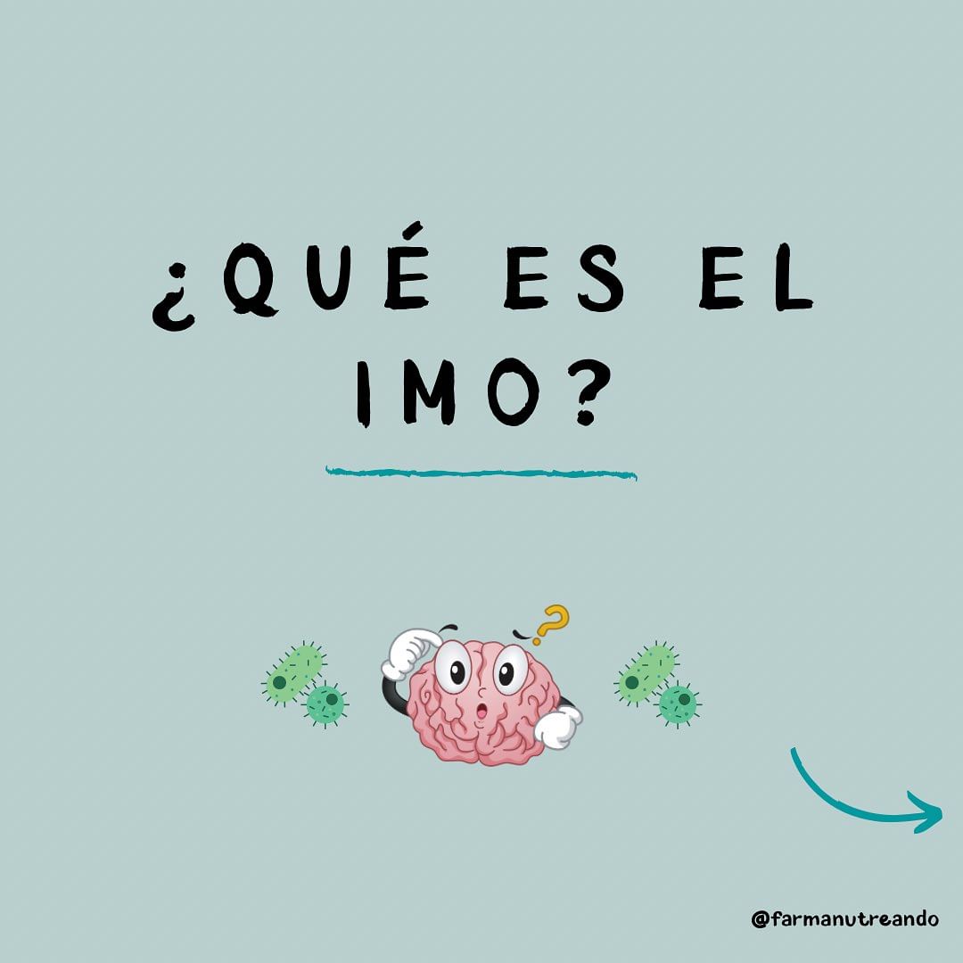 ¿Qué es el IMO? 🙋🏽♀️