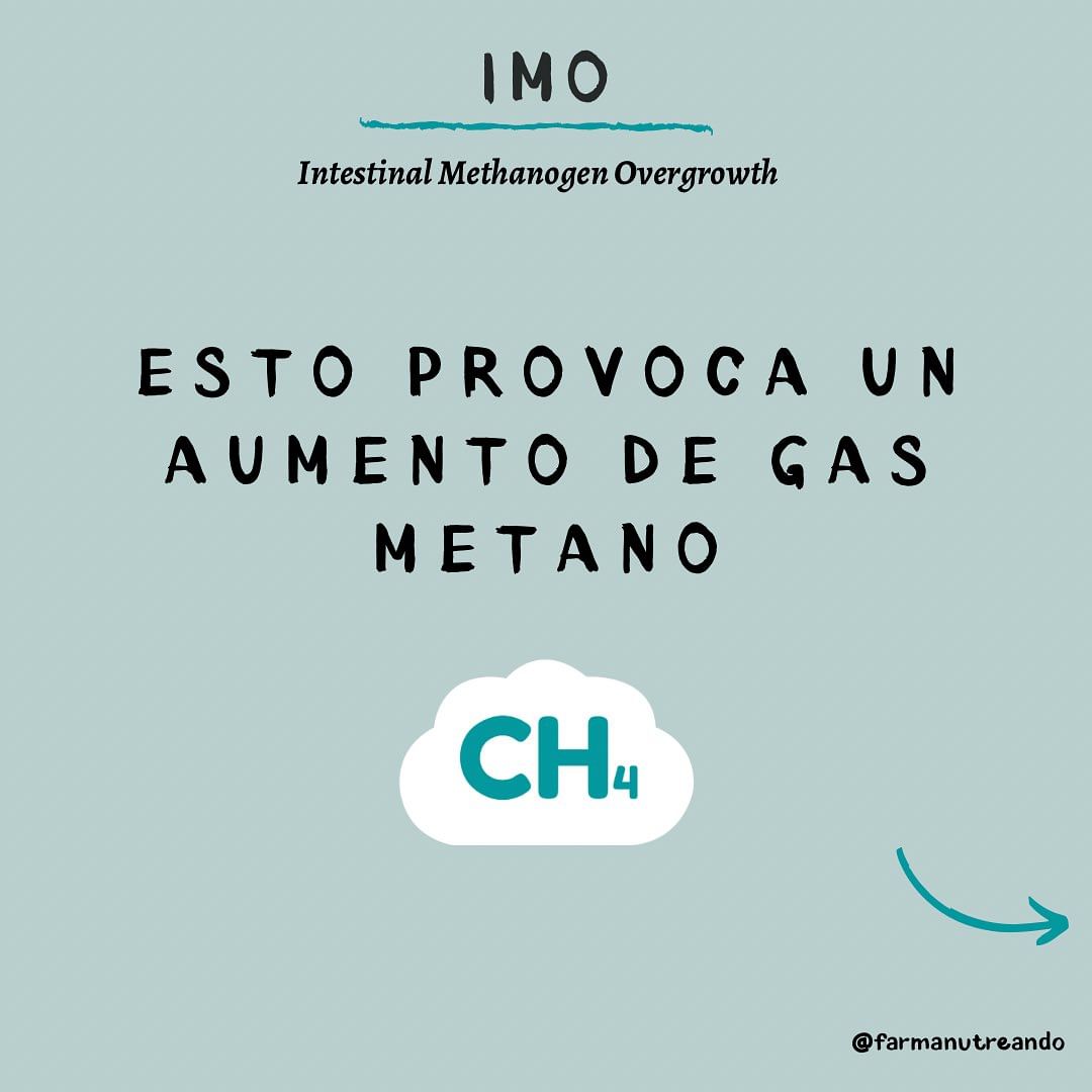 ¿Qué es el IMO? 🙋🏽♀️