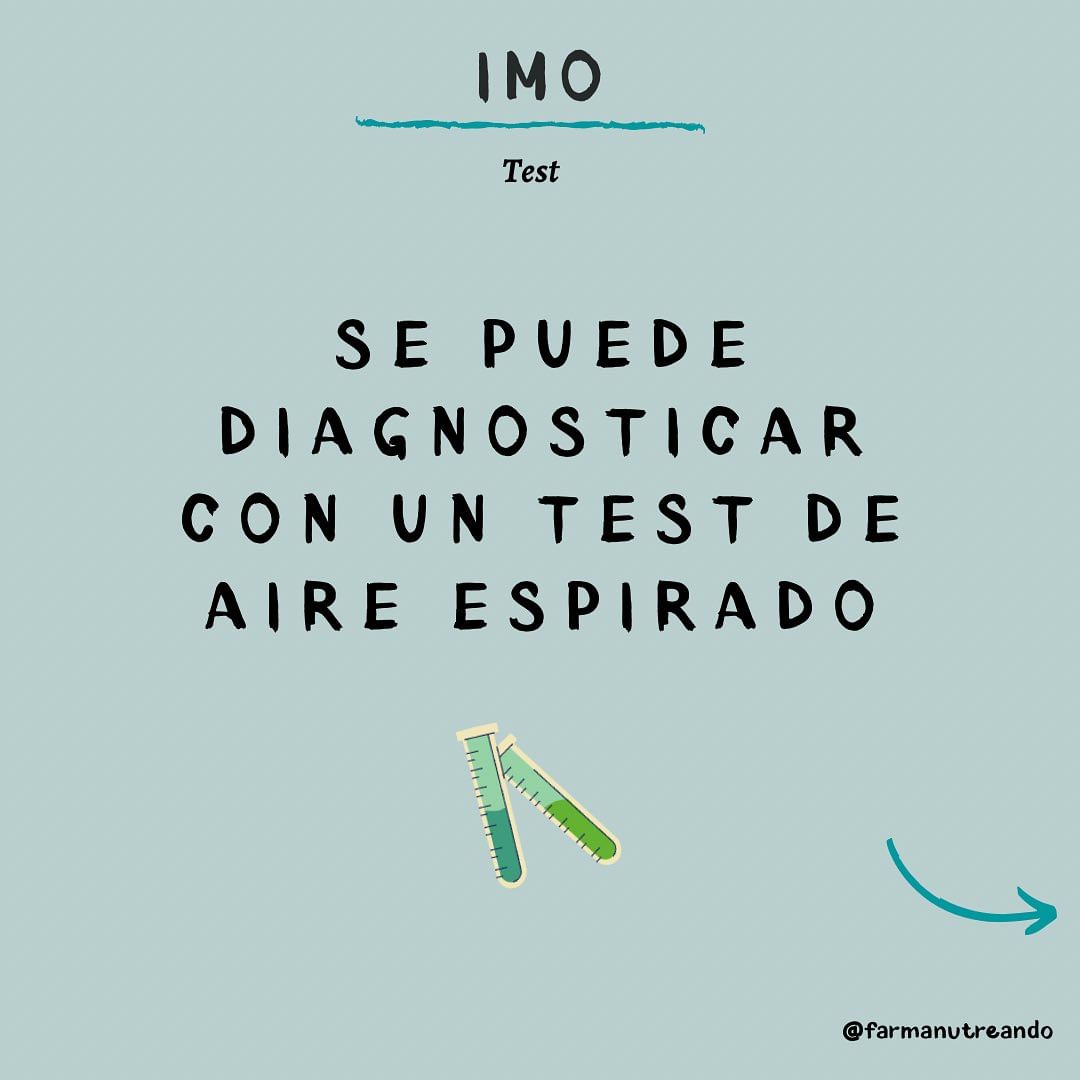 ¿Qué es el IMO? 🙋🏽♀️