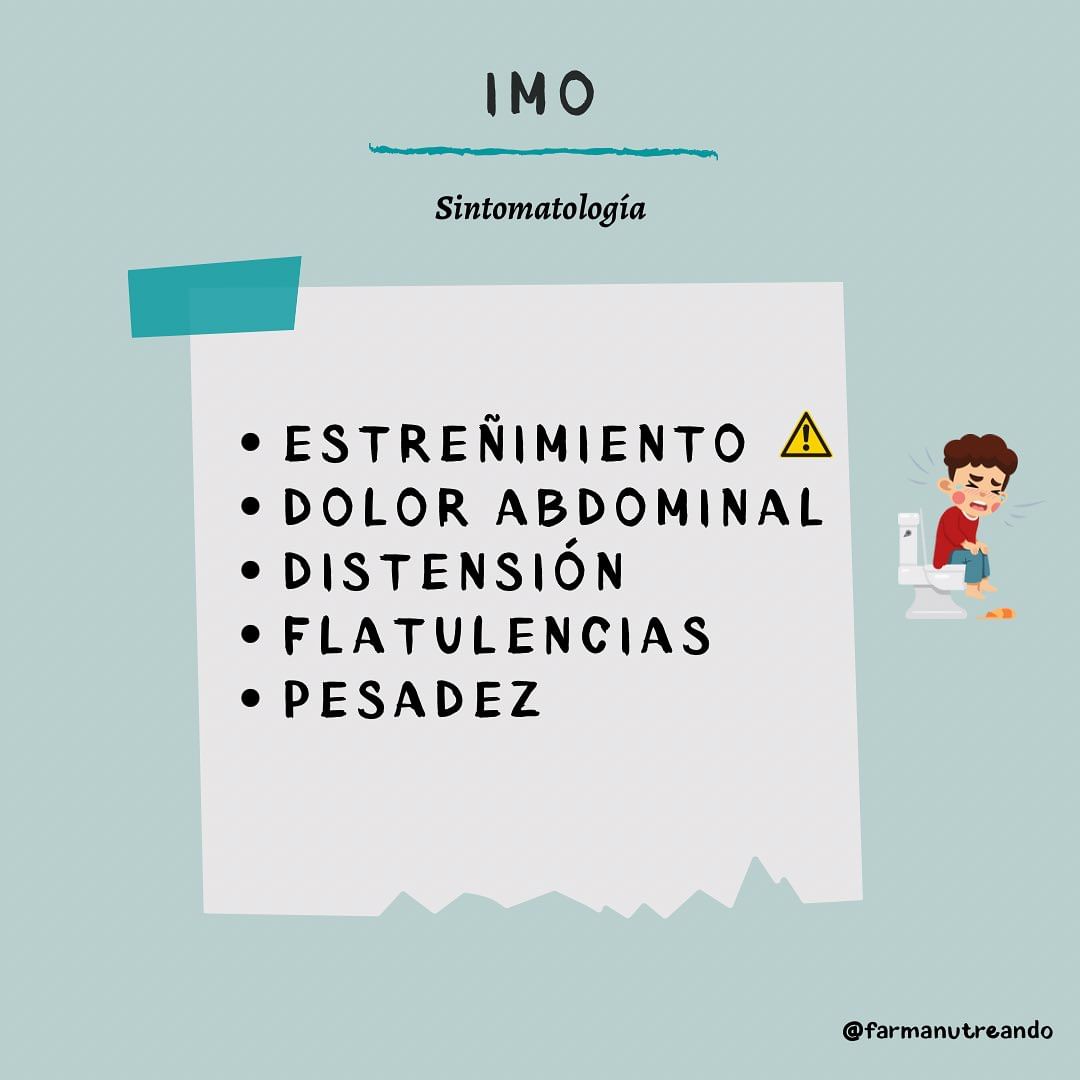 ¿Qué es el IMO? 🙋🏽♀️