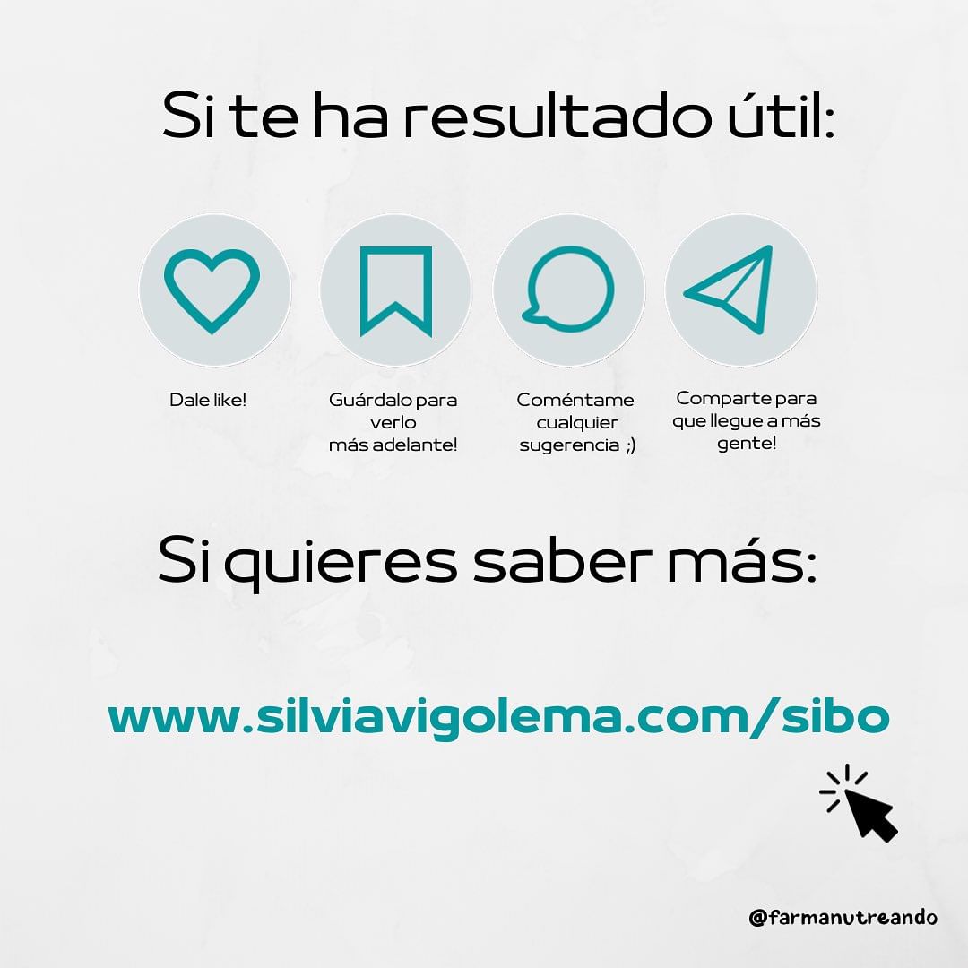 ¿Qué es el IMO? 🙋🏽♀️