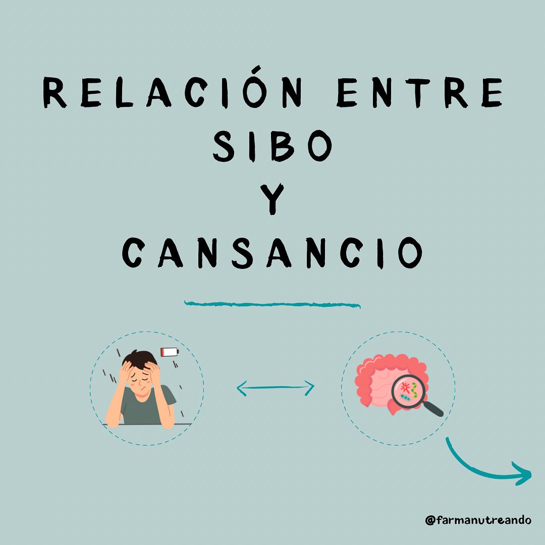 ¿SIBO Y CANSANCIO? ⚡️🦠🧠