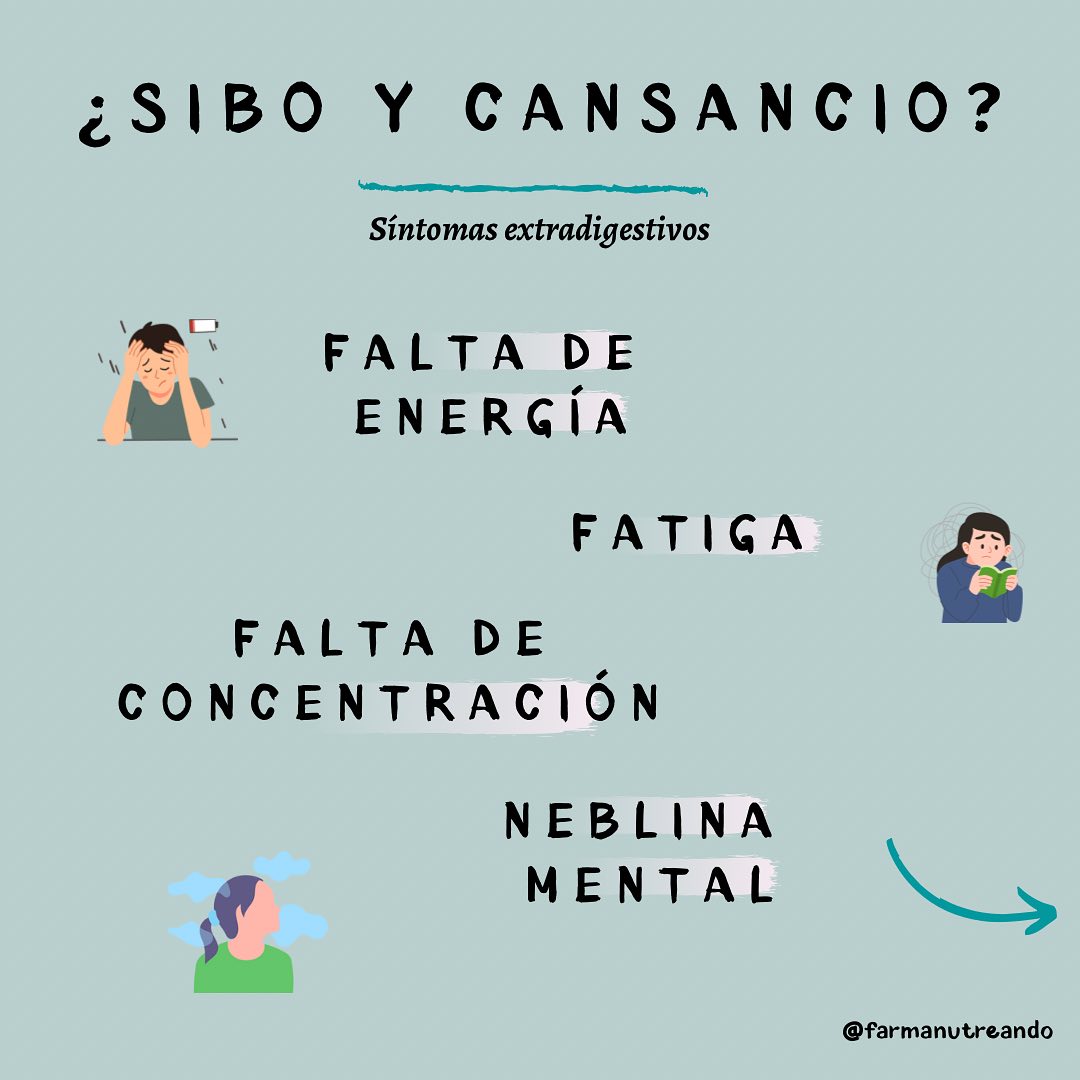 ¿SIBO Y CANSANCIO? ⚡️🦠🧠