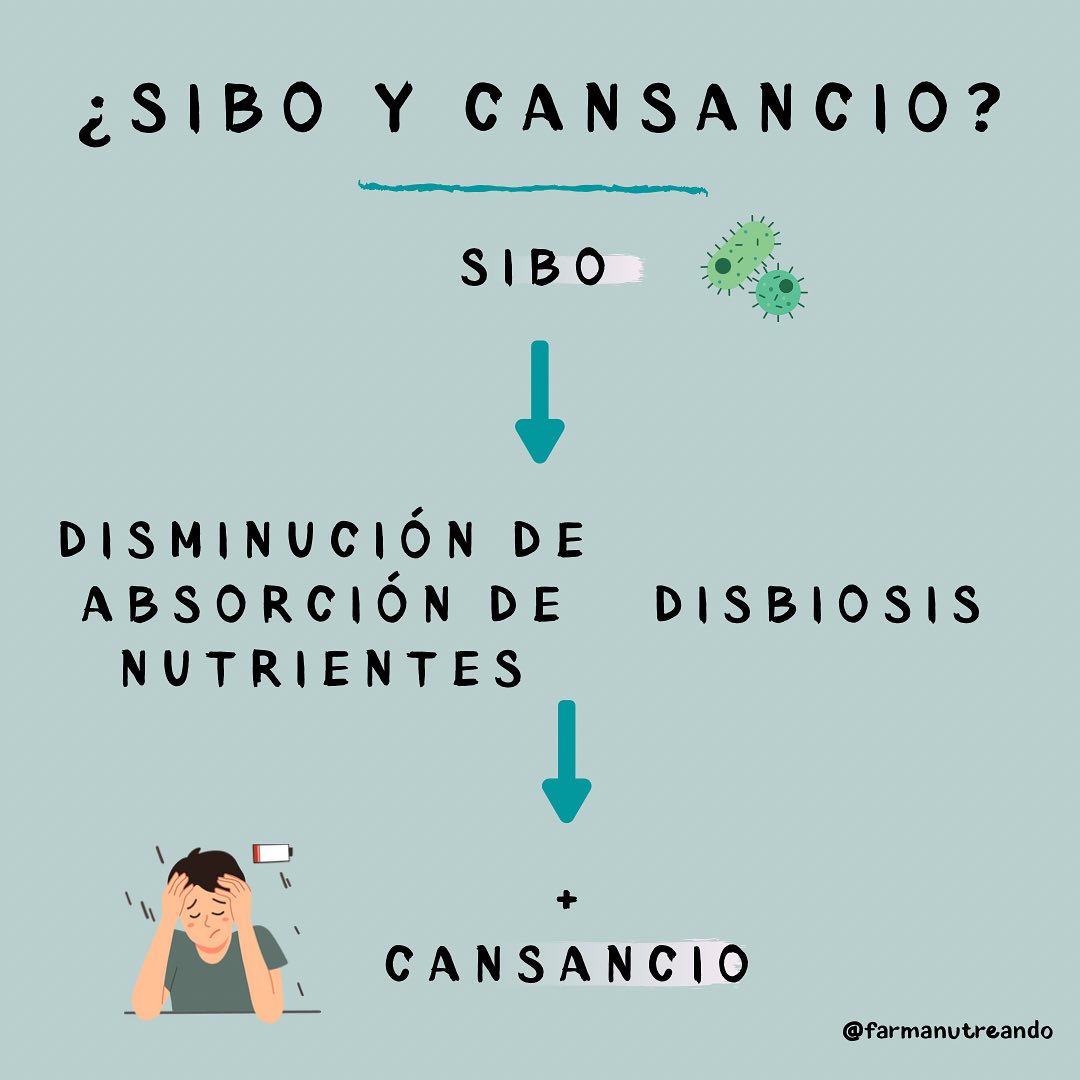 ¿SIBO Y CANSANCIO? ⚡️🦠🧠